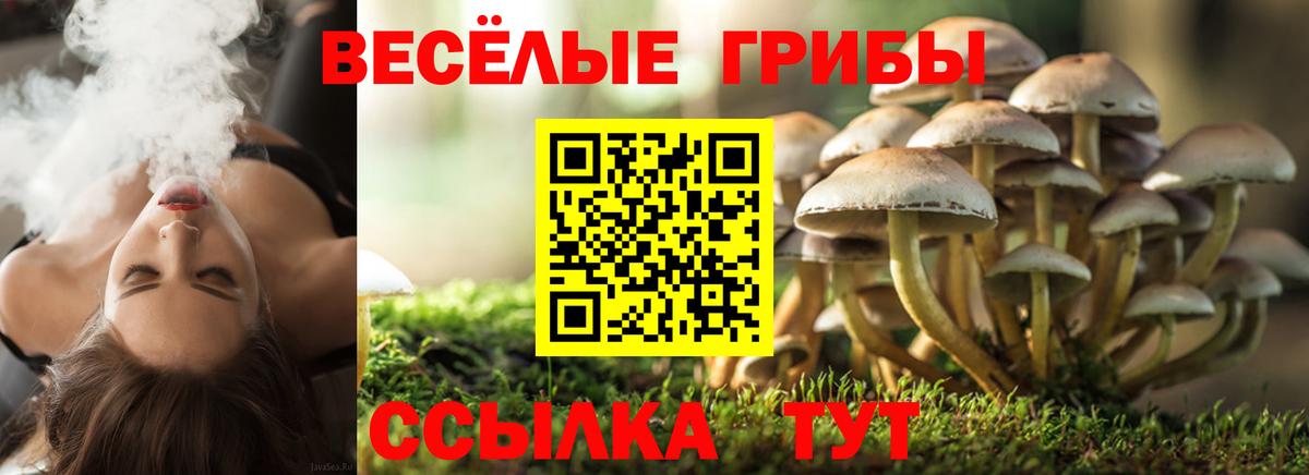 Галлюциногенные грибы Magic Shrooms  Псилоцибиновые грибы прущие грибы  Лесной  Вход с VPN 